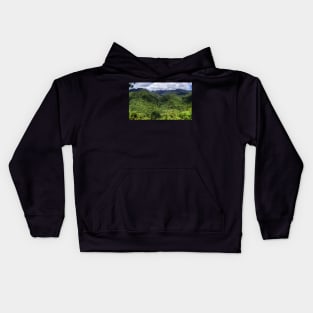 Malatan-ug Falls Kids Hoodie